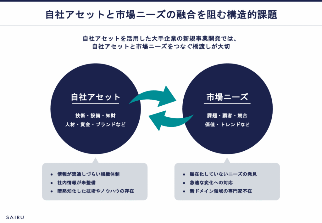 自社アセットと市場ニーズの融合を阻む構造的課題